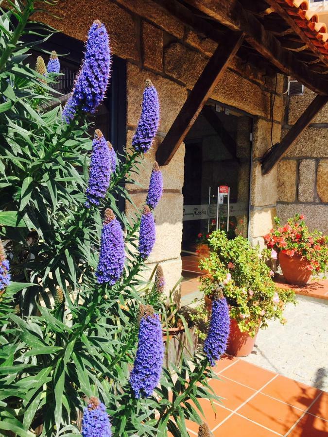 Casa Maximo Apartment Пенафиел Екстериор снимка